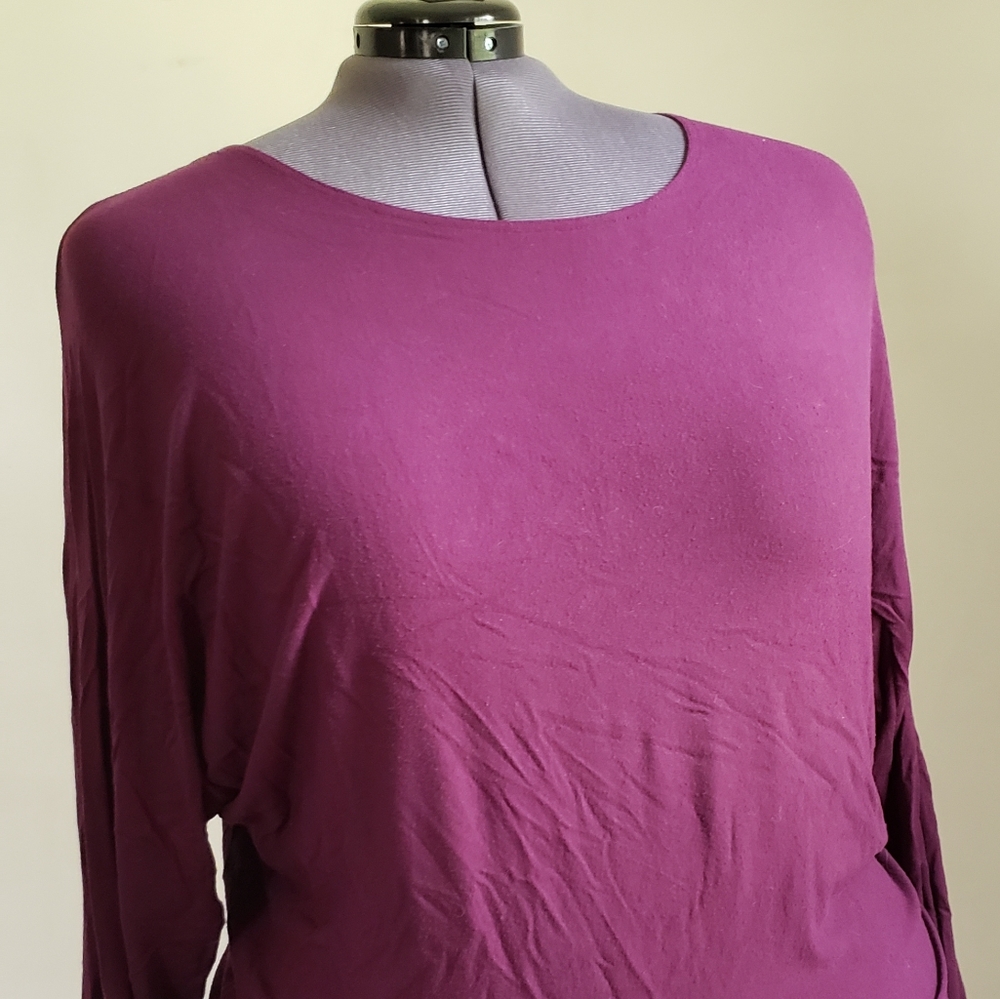 Purple long sleeve top 16W